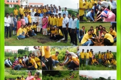 plant-1