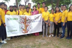 plant-2